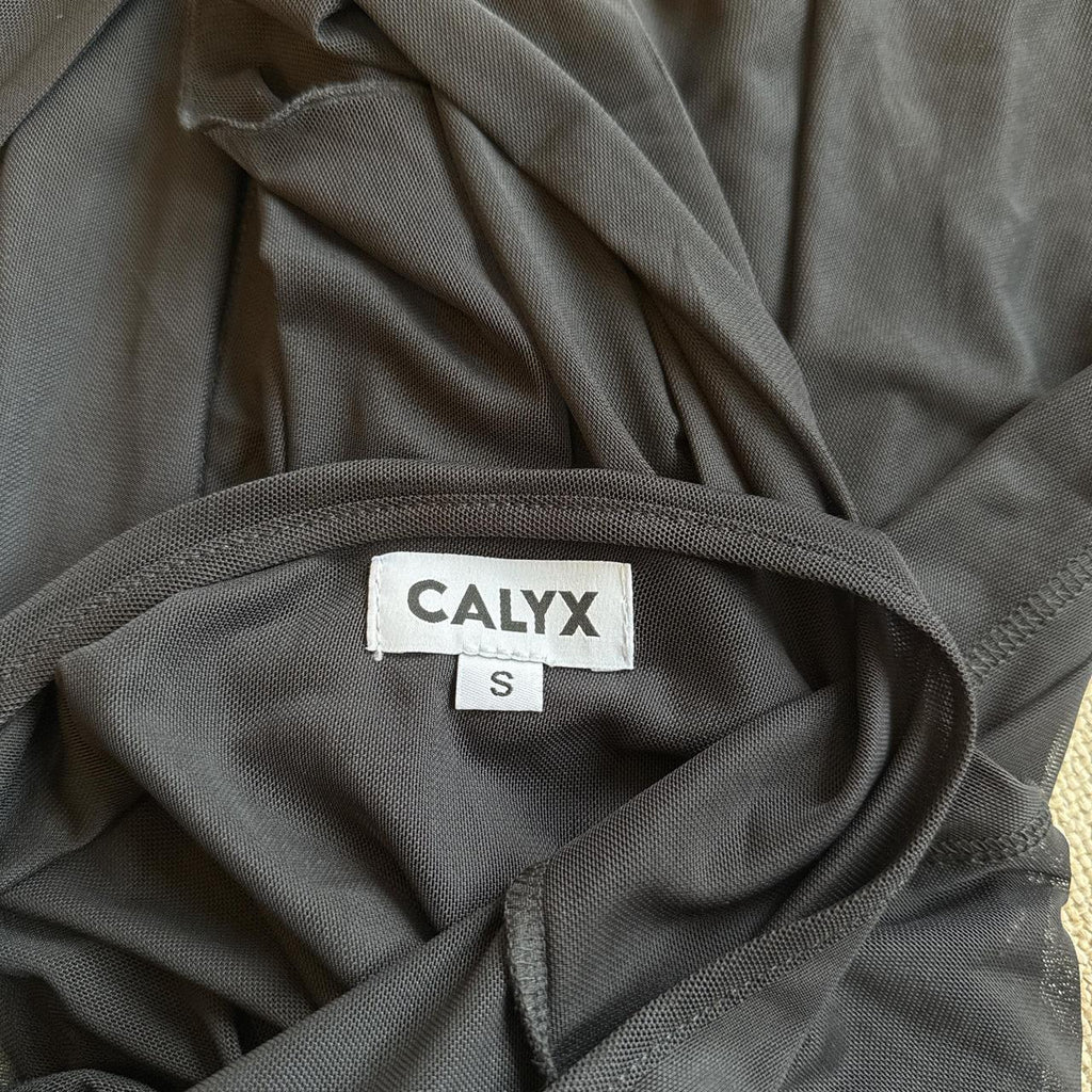 Calyx Pirouette Black Mesh Backless Dress
