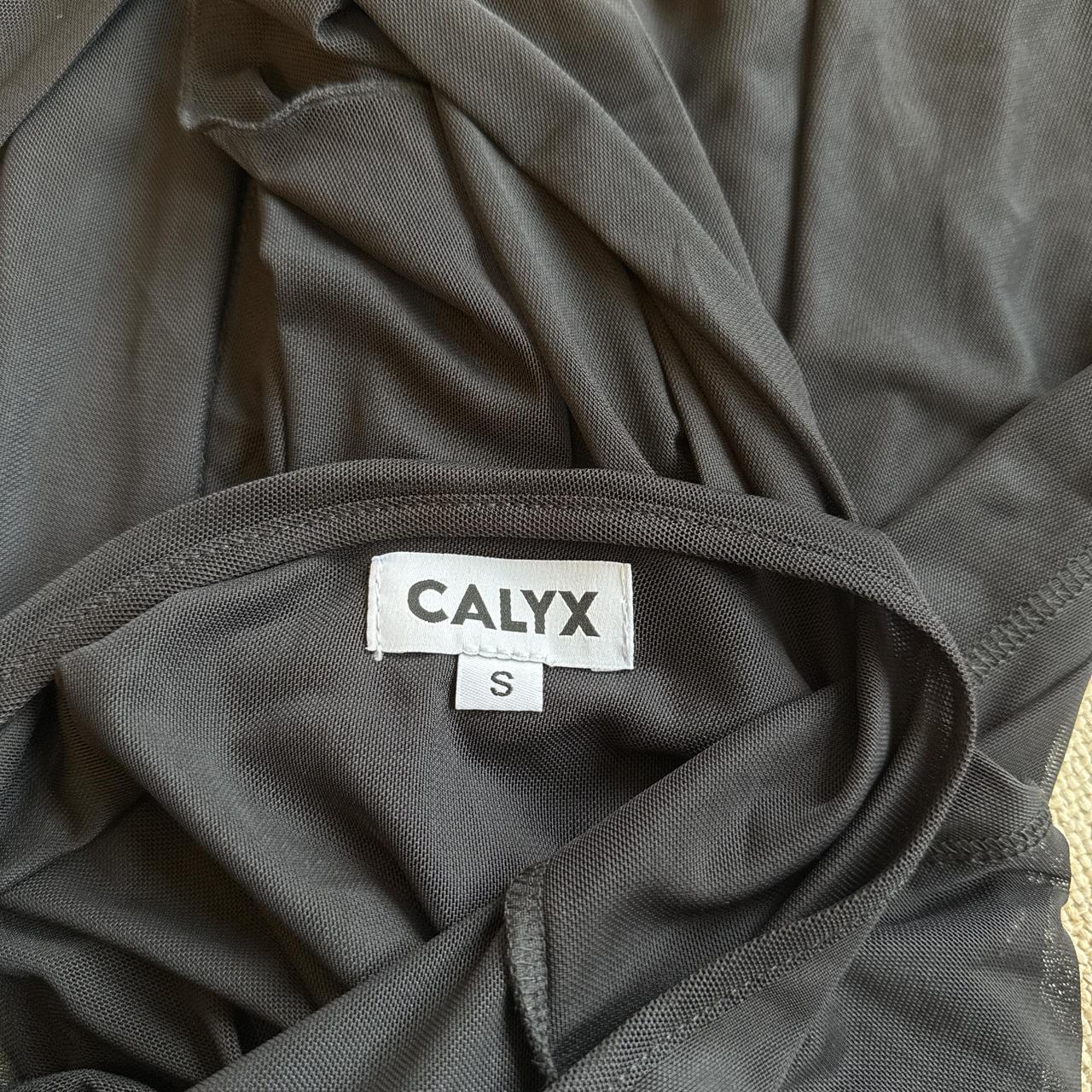 Calyx Pirouette Black Mesh Backless Dress